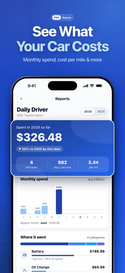 OdoNest Pro spending report with car maintenance spend this year, a monthly chart and cost per mile